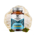 FOCUS – Lion’s Mane + Vitamin D3 & Zinc (60 Capsules)