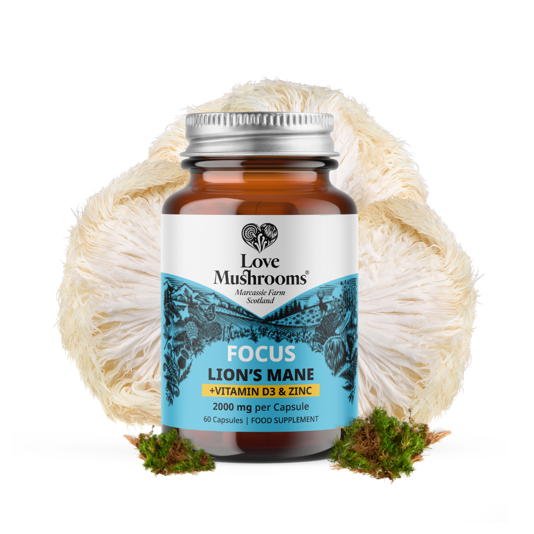 FOCUS – Lion’s Mane + Vitamin D3 & Zinc (60 Capsules)