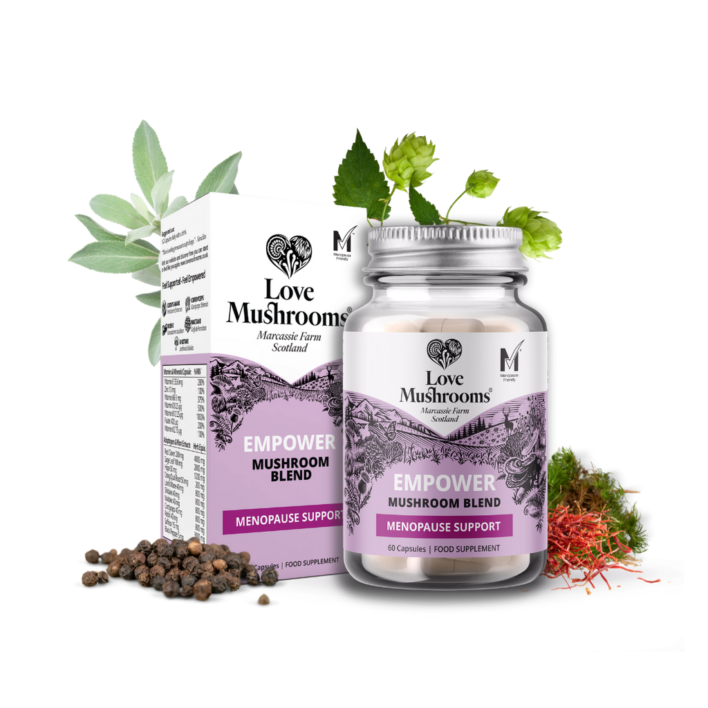 Empower – Daily Mushroom Wellness Blend (60 Capsules)