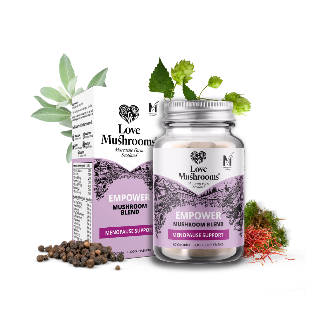 Empower – Daily Mushroom Wellness Blend (60 Capsules)